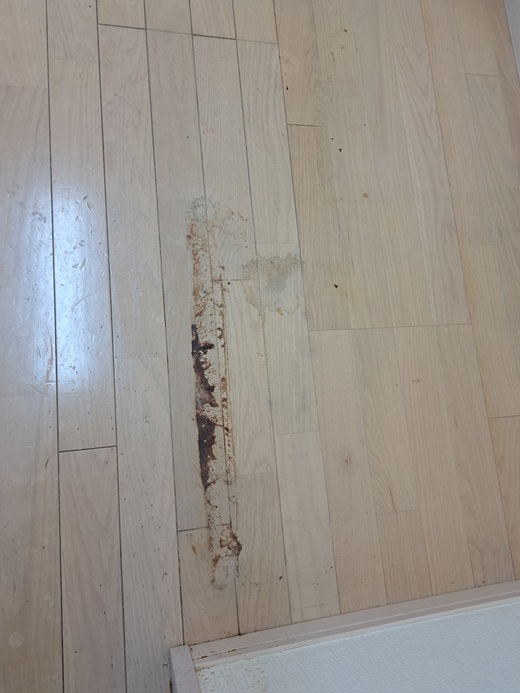 キッチン剥離前その１