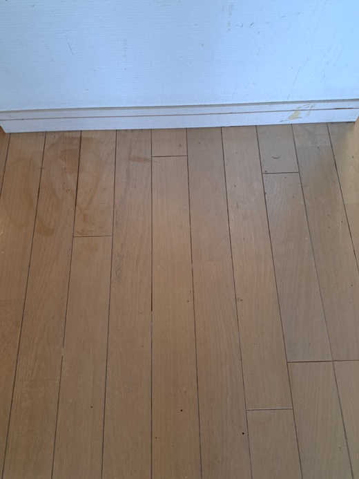 ダイニング剥離前その１