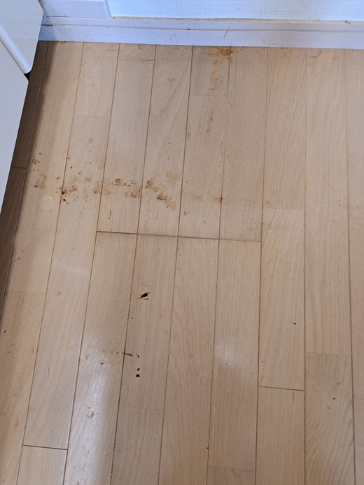 キッチン剥離前その２